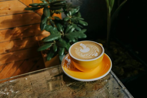 Transform Your Home Office with Stylish UK Knitwear: Mastering the Art of Chic Comfort